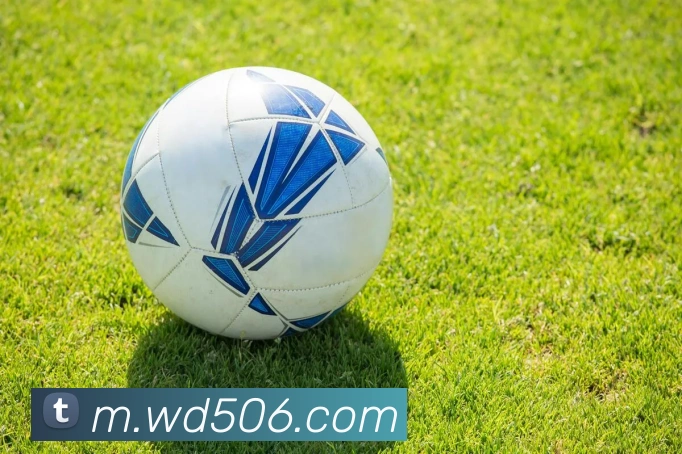 问鼎娱乐服务体系