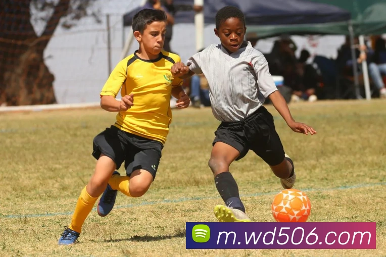 问鼎娱乐APP 体育赛事宣传图